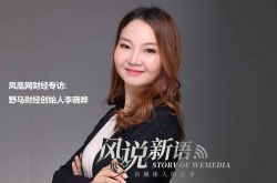 (1分钟科普下)沈阳 咨询公司_哔哩哔哩